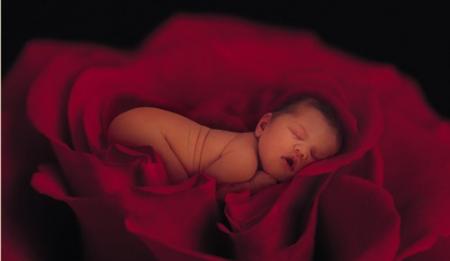 Bébé reveur
