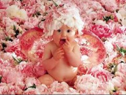Bébé roses