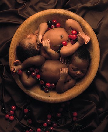Bébés cerises