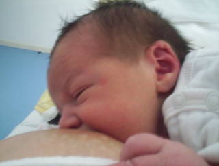 Bébé tetant