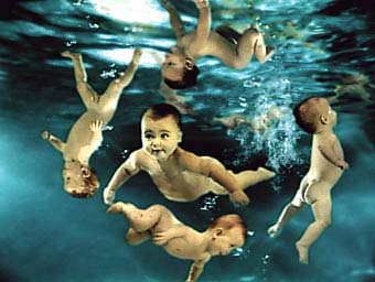 Bébé nageurs