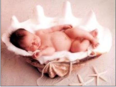 Bébé coquillage