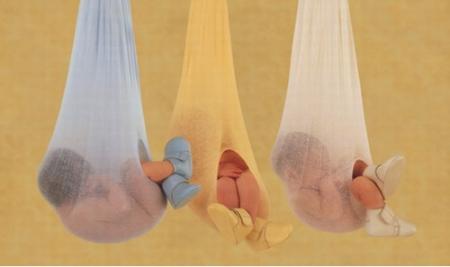 Bébés perchoires