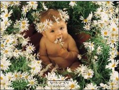 Bébé fleures