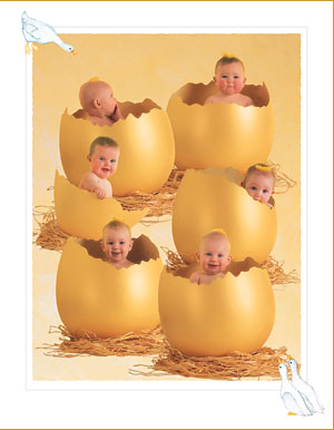 Bébés oeufs