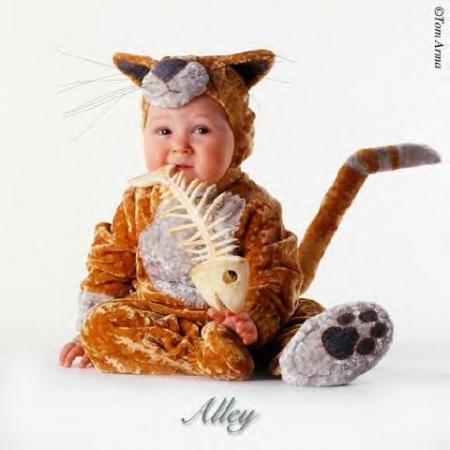 Bébé mangeur