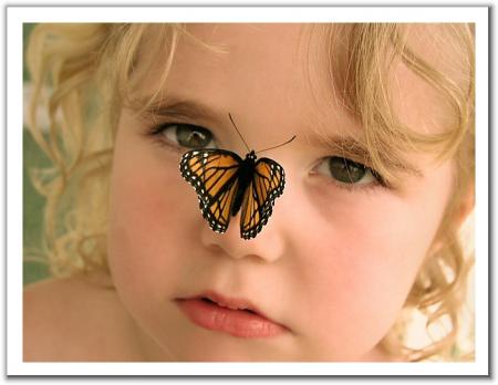 Bébé papillon