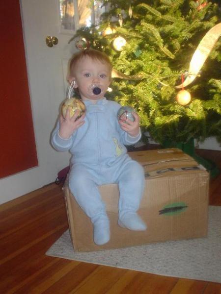 Bébé boules de sapin