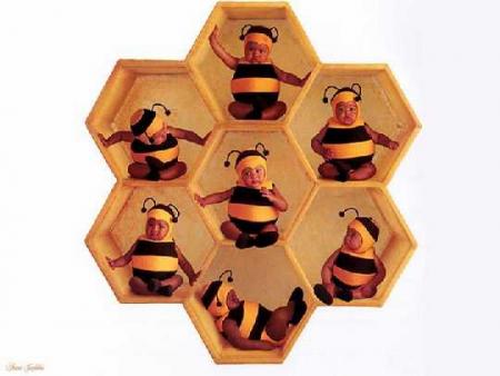 Bébés abeils