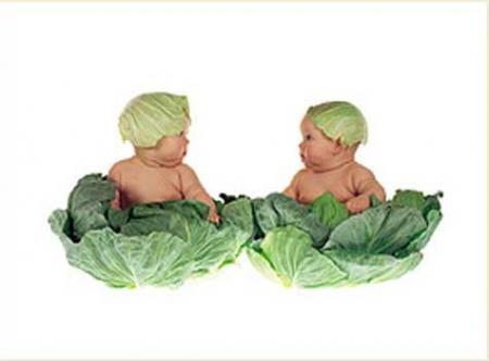 Bébés choux